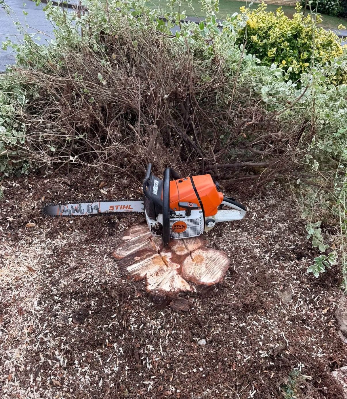 Landscaping project in West Midlands