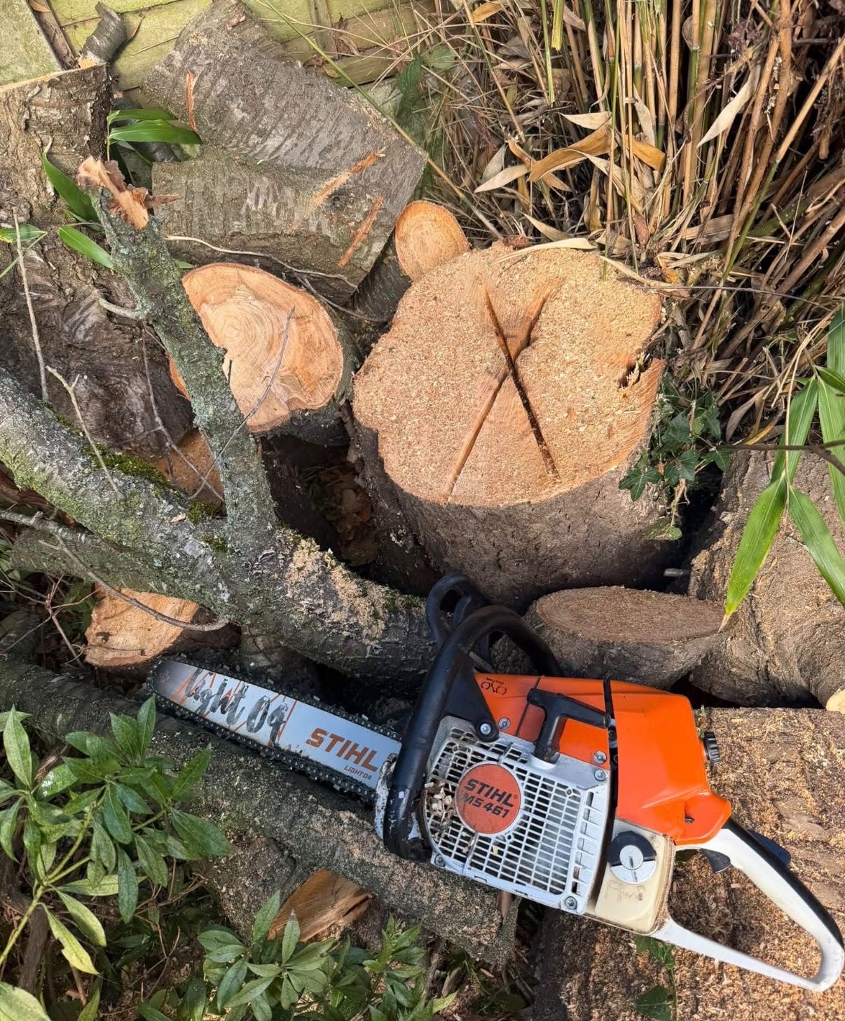 Landscaping services by Johns Professional Tree Surgery 